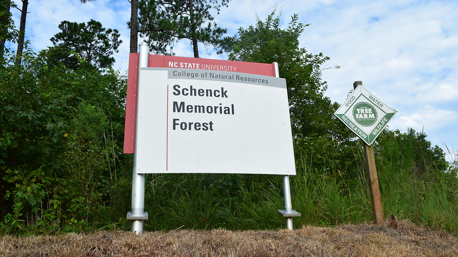 Schenck Forest - NC State University