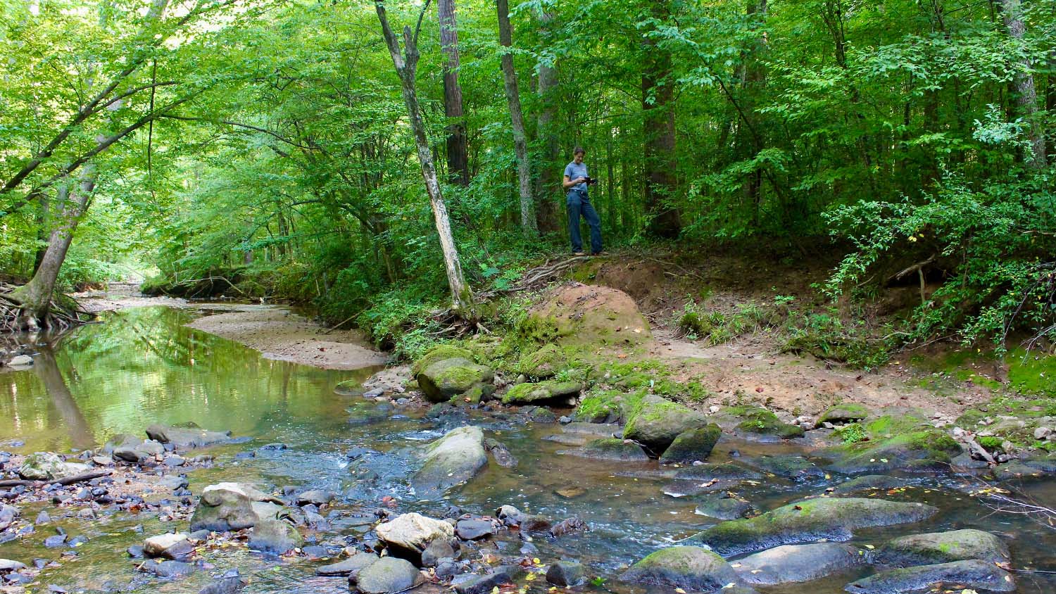 Creek View - Accessibility - College of Natural Resources at NC State University