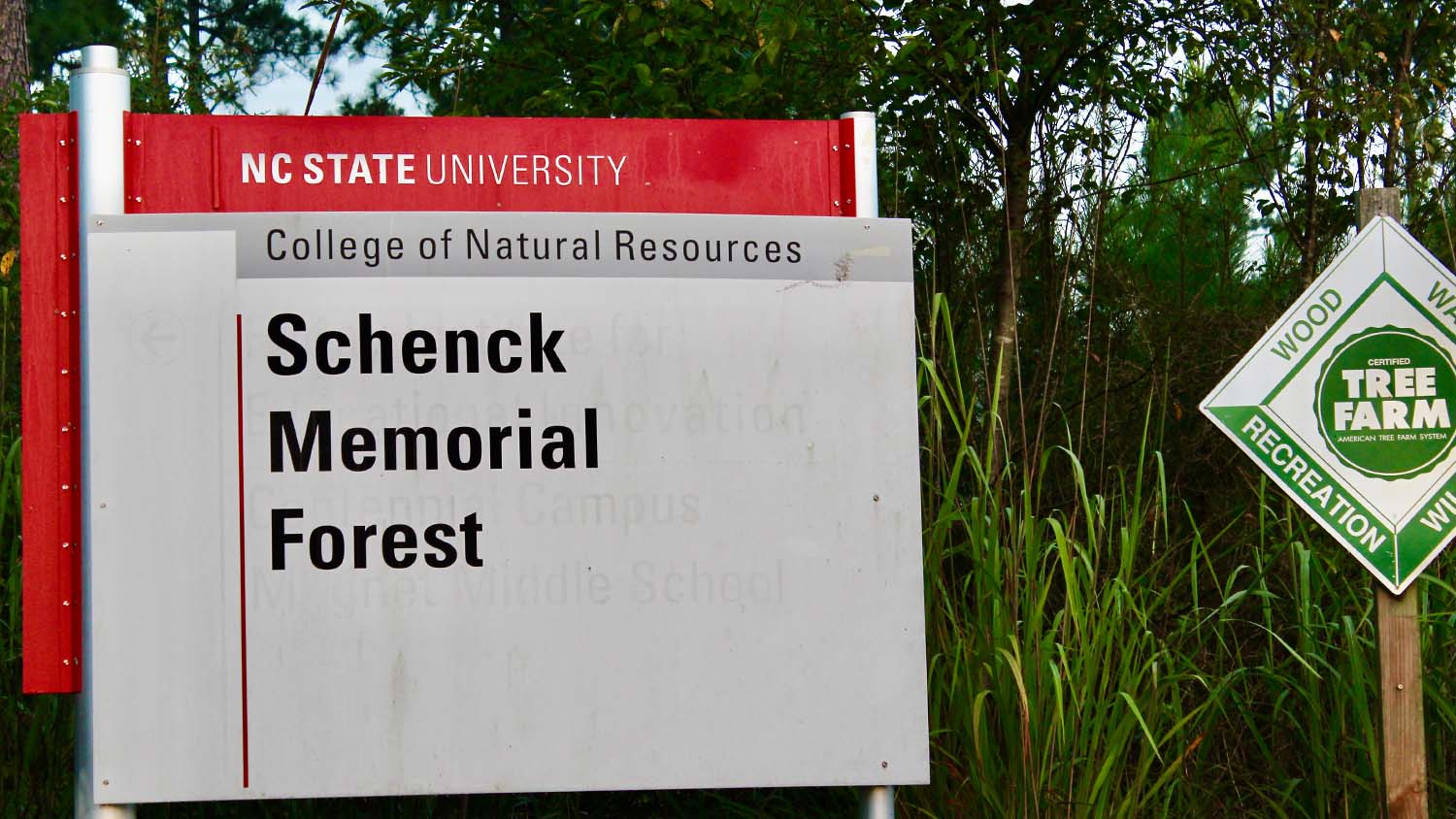 Schenck Memorial Forest Sign - History of the Schenck Forest - College of Natural Resources at NC State University